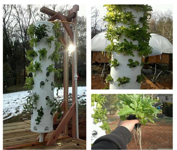 Amazon.com: EEYBLAEEY Hydroponics Seedling Cloning System Kit, 8 Holes ...