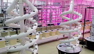 China Jilin C-More Farming Technology Limited