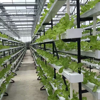 commercial NFT hydroponic growing system greenhouse NFT hydroponic channel