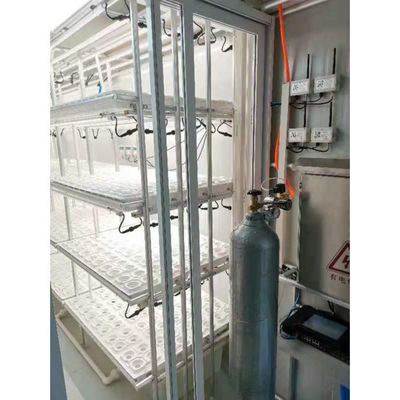 Shipping Container Farming Hydroponic Farms With Corten Resistant Steel Frame