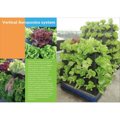 Wholesale Factory Price Aeroponic cultivation vegetables in multispan greenhouse for sale