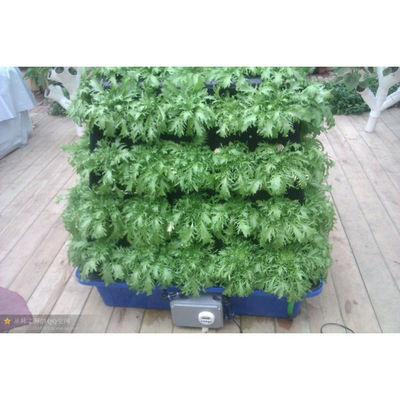 Wholesale Factory Price Aeroponic cultivation vegetables in multispan greenhouse for sale