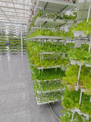 Vertical Farming Hanging Plant Hydroponic Intelligence Farming