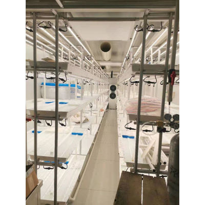 Freezer Shipping Container Farm Hydroponic Green Efficient Growth Plant Container