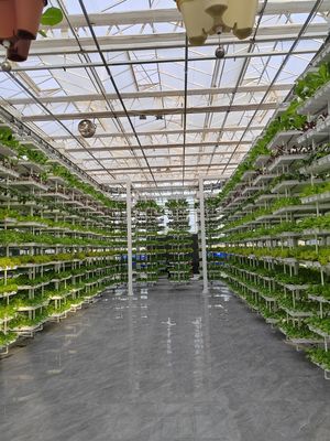 Vertical Farming Hanging Plant Hydroponic Intelligence Farming