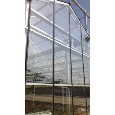 High Strength Agricultural Poly Tunnel Green House/Tomato Greenhouse