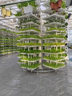 Vertical Farming Hanging Plant Hydroponic Intelligence Farming