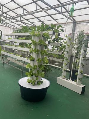 7P7 Hydroponic Growing Towers Vertical Garden Hydroponic System