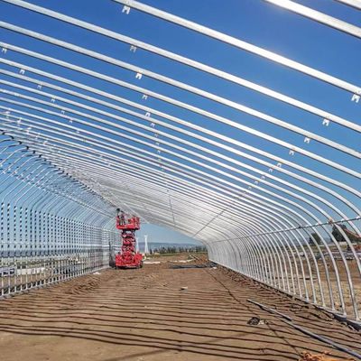 Solar Greenhouse Plastic Greenhouse For Grow Vegetables Galvanized Steel