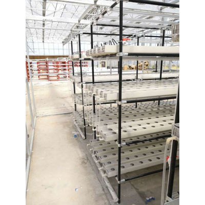 Greenhouse Agriculture Iot Vertical Factory For Modern Agriculture