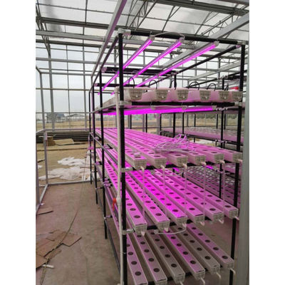 Greenhouse Agriculture Iot Vertical Factory For Modern Agriculture