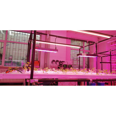Vertical Farming Plant NFT Hydroponic Smart Garden White 110V/220VAC