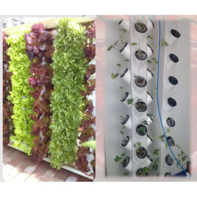 Agricultural Greenhouse Super Growtower Hydroponic Grow Systems Planting System