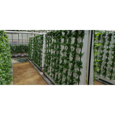 Family Spiral Plant Grow Hydroponic Tower Indoor Vegetable Cultivation Hydroponic