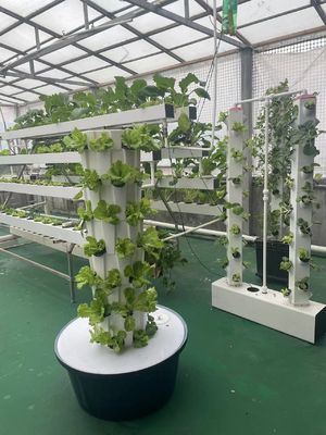 Balcony vegetable soilless cultivation equipment, hydroponic system, greenhouse greenhouse planting tower