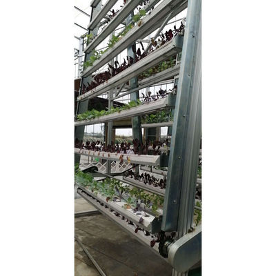 Irrigation And Hydroponics Equipment Hydroponic Growing Systems