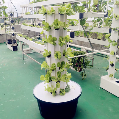 Indoor Outdoor Hydroponic Pineapple Tower Grow Systems Garden Agricultural Soilless Culture Vertical Hydroponic Grow Tower