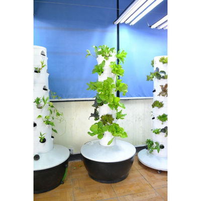 Professional Manufacturer Latest Design Hydroponic Vertical Growing Towers Systems