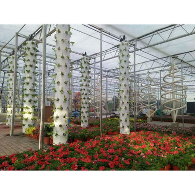 Professional Manufacturer Latest Design Hydroponic Vertical Growing Towers Systems