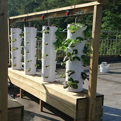 Home Fully Automatic Small Hydroponics Garden Growing Plant System Vertical at Home for Commercial