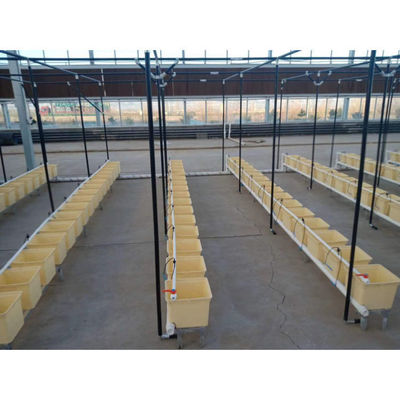 Plastic Hydroponics Dutch Buckets Bato Bucket Grow Systems Agricultural