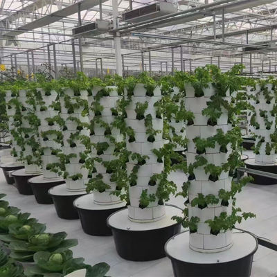 Vertical NFT Hydroponic Tower For Greenhouse Growing System Stable Structure