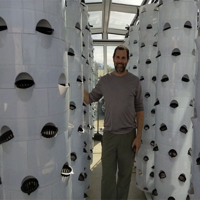 Vertical NFT Hydroponic Tower For Greenhouse Growing System Stable Structure