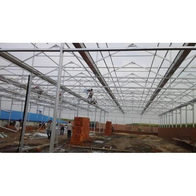 Mushroom Equipment Greenhouse For Vegetable Agriculture With Steel Frame