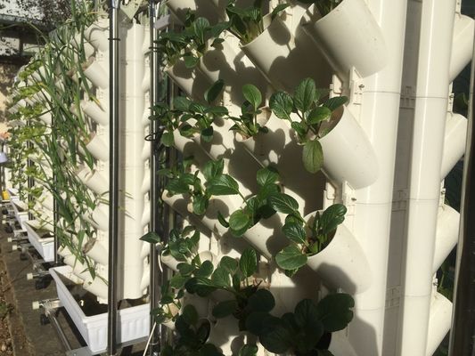 Soilless Cultivation Or Substrate Cultivation Planting Tower For Gardening