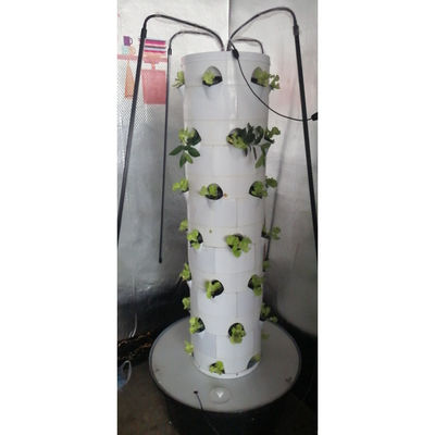 Hydroponic Cultivation System For Vegetables And Strawberries With LED Light
