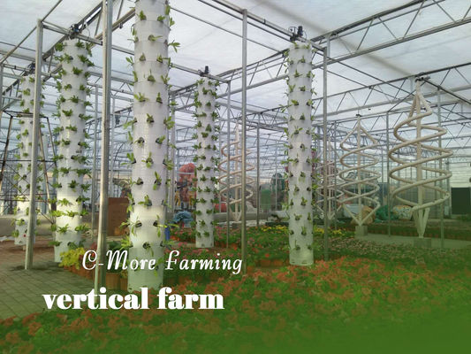 Hydroponic Cultivation System For Vegetables And Strawberries With LED Light