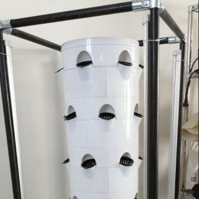 Vertical Hydroponic Cultivation System For Vegetables And Strawberries With Shelf