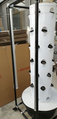 Vertical Hydroponic Cultivation System For Vegetables And Strawberries With Shelf