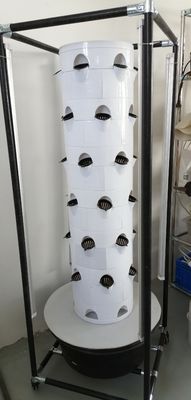 Vertical Hydroponic Cultivation System For Vegetables And Strawberries With Shelf