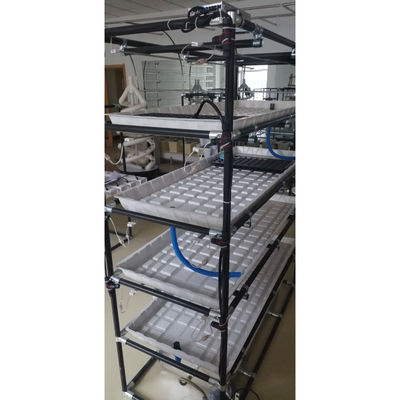 Professional Vertical Seedling Flood Tables Hydroponic Grow Racks