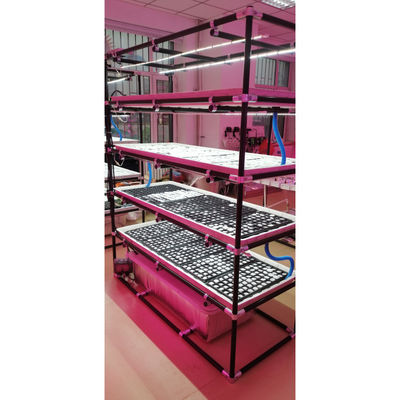 Professional Vertical Seedling Flood Tables Hydroponic Grow Racks