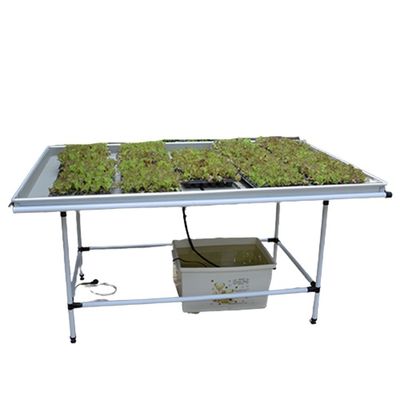 Professional Vertical Seedling Flood Tables Hydroponic Grow Racks