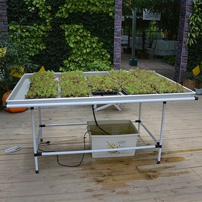 Professional Vertical Seedling Flood Tables Hydroponic Grow Racks