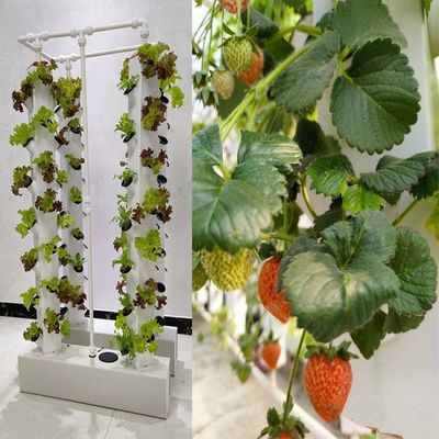 Intelligent Hydroponics Vertical Garden Planting Herbal Plants NFT Growing System