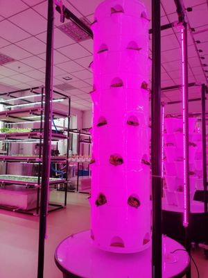 New Vertical Hydroponic Cultivation System For Vegetables And Strawberries With LED