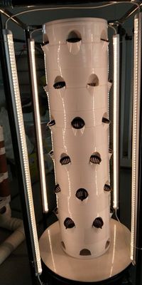Hydroponic System Aerpetta Strawberry And Leaf Vegetable Rotation With Lights