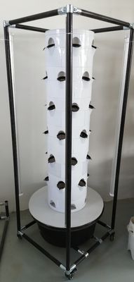 Hydroponic System Aerpetta Strawberry And Leaf Vegetable Rotation With Lights