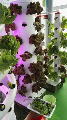 6p10 Hydroponics System Vertical Garden Tower indoor vegetable Garden towergarden aeroponics system