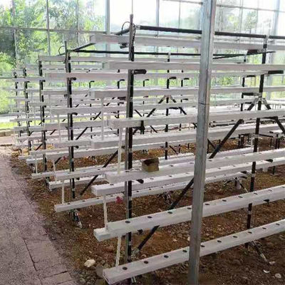 commercial NFT hydroponic growing system greenhouse NFT hydroponic channel