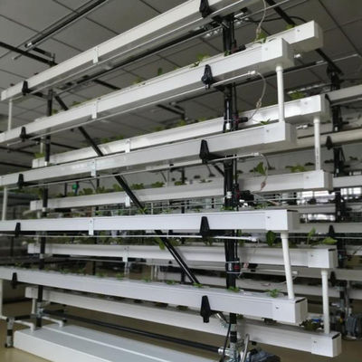 commercial NFT hydroponic growing system greenhouse NFT hydroponic channel