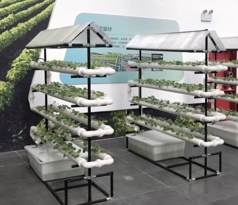 commercial NFT hydroponic growing system greenhouse NFT hydroponic channel