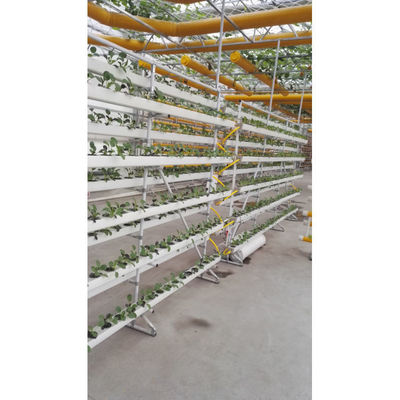 Factory outlet hydroponic system multi-layers growing system save water and eazy growing