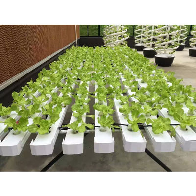 Factory outlet hydroponic system multi-layers growing system save water and eazy growing