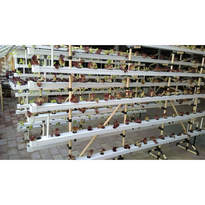Factory outlet hydroponic system multi-layers growing system save water and eazy growing