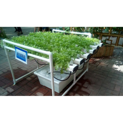 Factory outlet hydroponic system multi-layers growing system save water and eazy growing